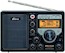 Радиоприемник портативный Ritmix RPR-7050 черный