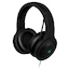 Гарнитура Razer Kraken USB (PS4/PC) RZ04-01200100-R3M1