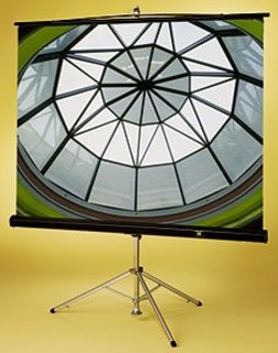 Экран Draper Diplomat NTSC (3:4) 244/96" (100", 8') 152*203 MW мобил,на штативе