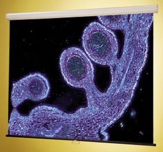 Экран Draper Luma HDTV (9:16) 269/106" 132*234 MW ручной,настенно-потолочный