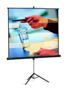 Экран Projecta Professional 213x213см MW на штативе 1:1