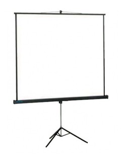 Экран Projecta ProView 127x127см MW на штативе 1:1