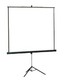 Экран Projecta ProView 127x127см MW на штативе 1:1
