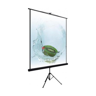 Экран на штативе Lumien Eco View 180x180 см с возможностью настенного крепления (LEV-100102)