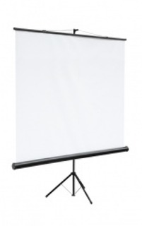 Экран настенный Digis Optimal-B DSOB-4305 MW 240x180 (4:3)