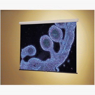 Экран Draper Luma NTSC (3:4) 153/60" (5') 88*118 MW (2208001)