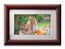 Цифровая фоторамка ViewSonic TFT 10” 1024x600 VFM1036W-11E 500:1Cherry wood