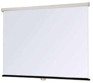 Экран Lumien Master Control LMC-100126 280x280 см Matte White FiberGlass, с электроприводом
