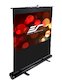 Экран напольный Elite Screen 128х170.7см F84NWV ezCinema Portable Screen 100'' 4:3 черный