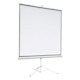 Экран на штативе 165x220см DSKA-4304 Digis Kontur-A 4:3