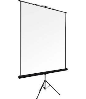 Экран DINON Tripod 183x244 MW на штативе