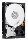 Жесткий диск WD SATA-II 500Gb WD5000AADS (5400rpm) 32Mb