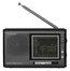 Радиоприемник Soundmax SM-2604 серый