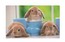 Коврик для мыши  Buro BU-SBD126/RS (Rabbits) каучук+ткань  410 х 250 х 1.5 мм