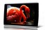 Плеер Flash Iconbit HMP815HDMI 16Gb