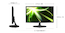 Монитор Samsung 18.5" S19C150N Glossy-Black TN LED 5ms 16:9 5M:1 200cd (RUS)