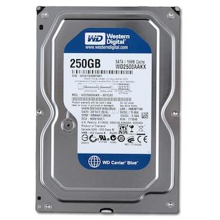 Жесткий диск WD SATA-III 250Gb WD2500AAKX (7200rpm) 16Mb 3.5"
