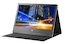 Монитор HP 15.6" U160 Black TN 12ms 16:9 /USB 2.0