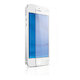 Защитное стекло DF для iPhone 5/5S/5С iSteel-02